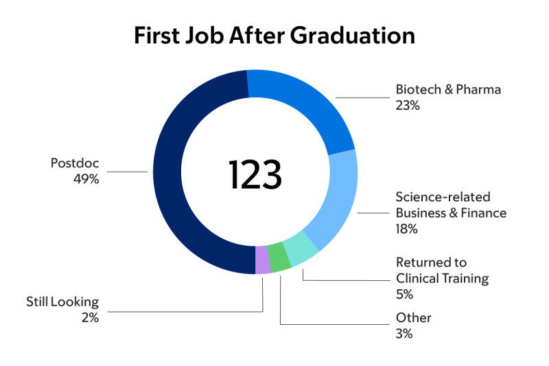 First Job after Graduation